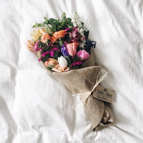 graceinchrist: Flowers For Dreams.