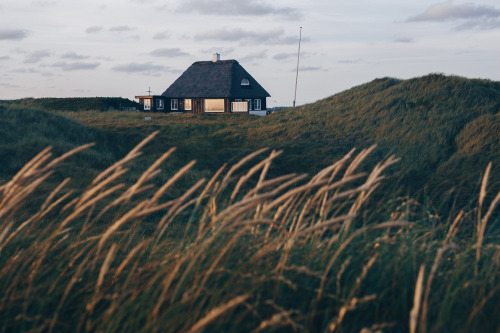 piavalesca:a house in the dunes oh how i miss these views!our denmark trip was canceled this year, t