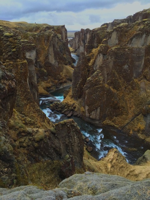 photorator:  Fjarrgljfur Canyon Iceland