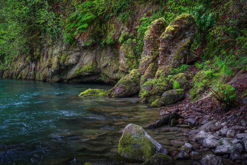 Cedar River Park by bombeeney on Flickr.