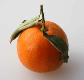 otterintheflightdeck:橙色 (Daidai-iro) | #EF810F | “Daidai”This native Japanese word for “orange” come