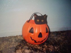 loregasmic:  R.I.P. Cuddles, I always remember her and this photo this time of year (from Halloween 1996) 