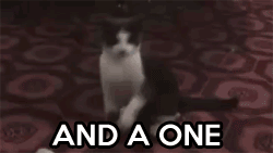 the-personal-quotes:  baby animal posts daily