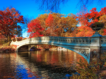  Central Park bursts with bright &amp; brilliant color as fall foliage season