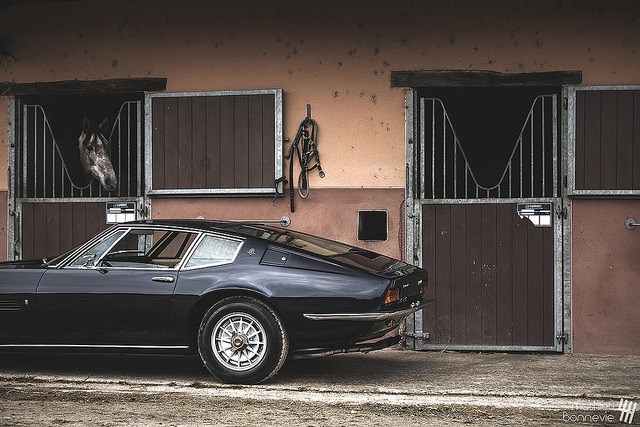 carpr0n:  Starring: Maserati Ghibliby Mathieu Bonnevie on Flickr.