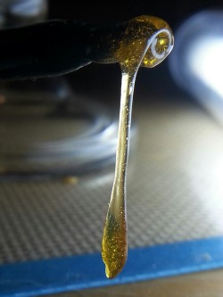 4toasterstrudel20:  Snail dabs of some sweet tooth live resin😥 
