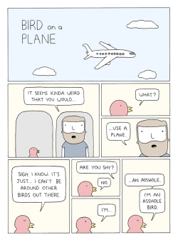 pdlcomics:  Bird On a Plane