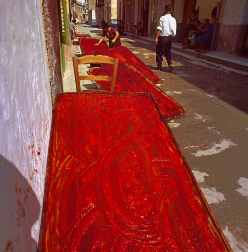 unrar: Sicily, Bagheria, Italy: preaping the tomato concentrate 1963, Ferdinando Scianna.