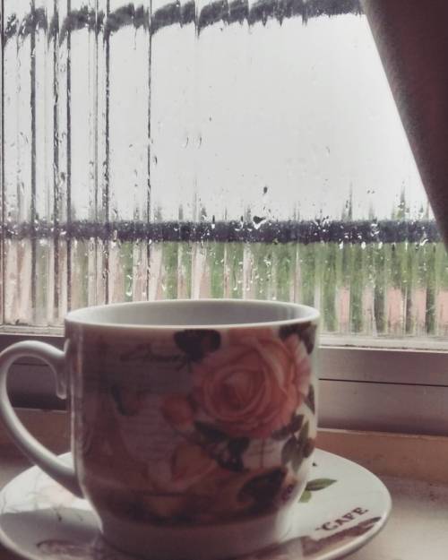 "The #rain Began Again. It Fell Heavily, Easily, With No Meaning Or Intention But The Fulfillment Of