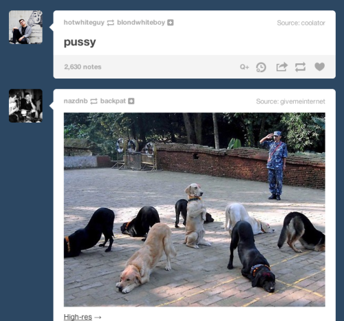 fahbulus: im sorry but im laughing so hard right now