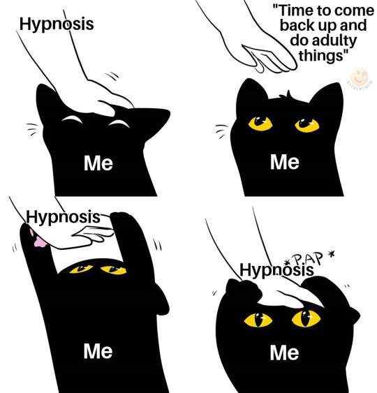 yoyomindloops:blankandhappy:vaynmm:hypnomemers:This is so me. HahahahaOh, fuck me