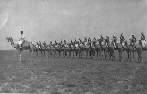 Dubat camel troops under colonel Camillo Bechis orders -  Italian Somaliland 1925