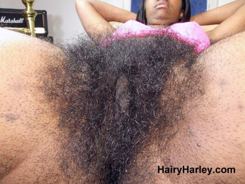 superhirsuteandbushychicks:  More Hairy Harley with her ultra super bush. 