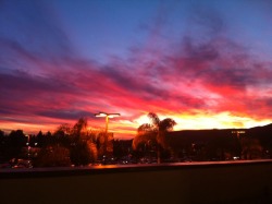 conditionally:  lostgal49:  solid san deezy sunset  Like this? Check out Romwe - http://www.romwe.com/?tiffanietidy 