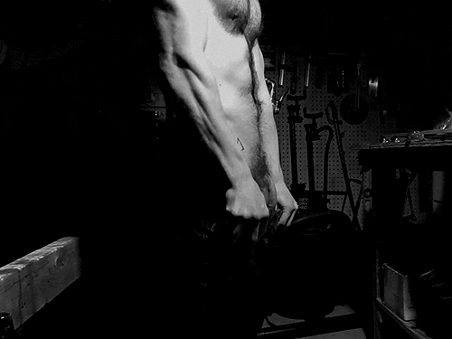 bravodelta9:  buckshots-blog:bravodelta9:  ohmygodfur:bravodelta9:My wiener is still