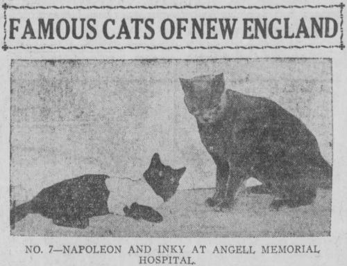 yesterdaysprint: Boston Post, Massachusetts, December 14, 1920 