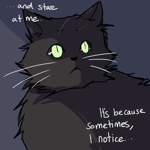 herzspalter:A little story about my cat.These were originally slightly animated gifs, but tumblr but