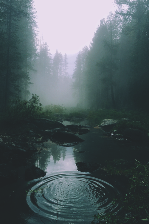 northwoodswonder:joel:Rivers+