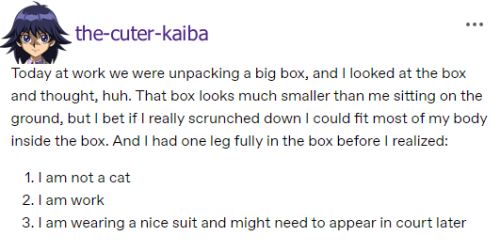 Kaiba Brothers, The Best Chaotic Duo