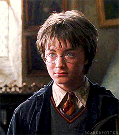 scaredpotter:  You both realize, of course, that in the past few hours you have broken