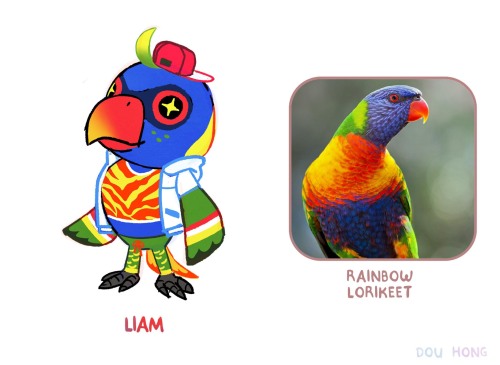 beesmygod:  dou-hong:  Request your fav birb here!  I’m doing a *FINAL* round of birbs be