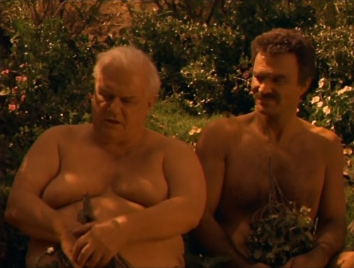 Evening Shade (TV Series) ’Three Naked Men: Part 2,’ S2/E2 (1991), Stripped of their dig