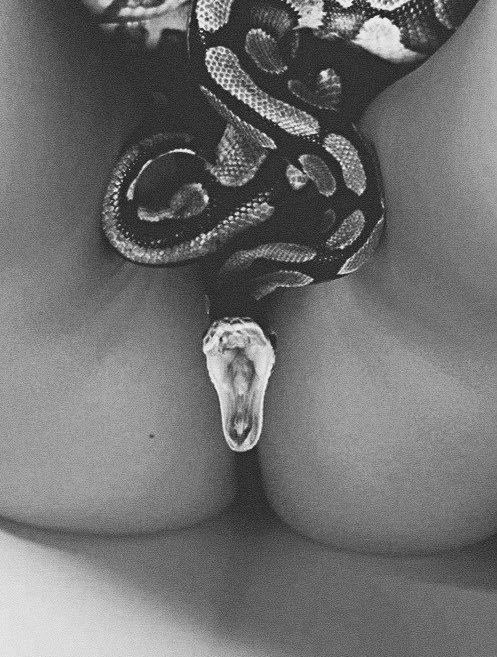 wildbutgentleman: Wild but Gentleman