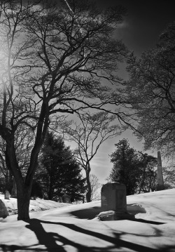 kellybarbieri:  Greenwood 