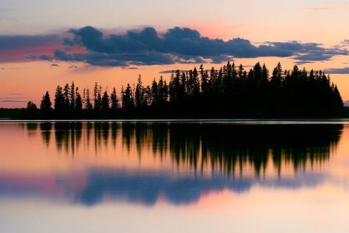 The whole of nature in its beauty! Photo by Mark Jinks