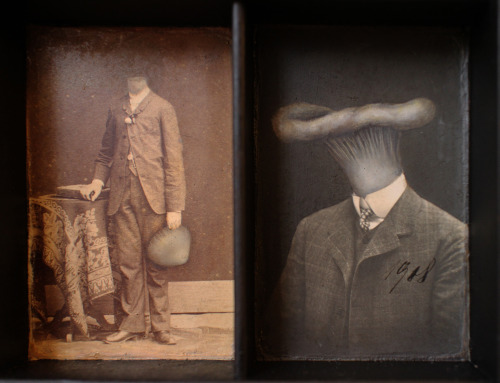 itscolossal:Dozens of Mushroom Characters Populate a Family Tree in Whimsically Painted Photographs 