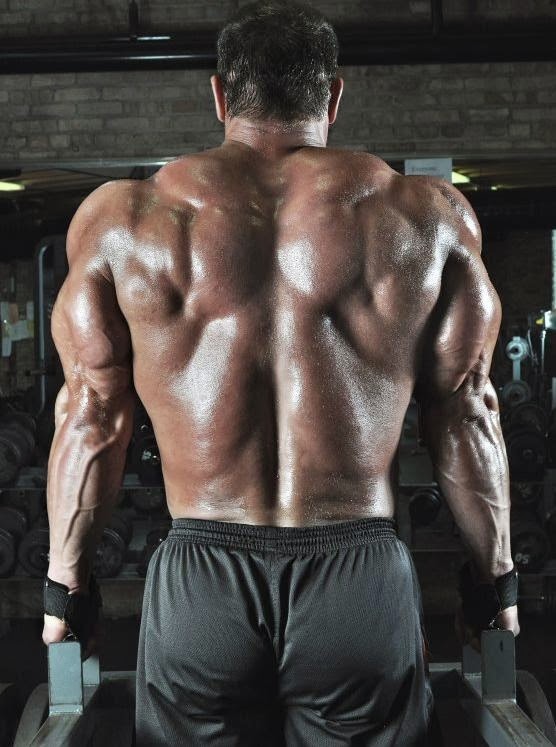 Savage Fitness