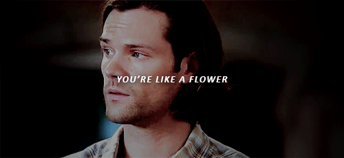 You’re Like A Flower Made Of Iron; You’re The Strongest And Most Beautiful Person I Have Ever Met.