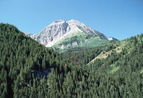 leopardspaw:Utah. Wasatch Mountains. August 9, 1991. Pentax MX. Kodachrome 64.