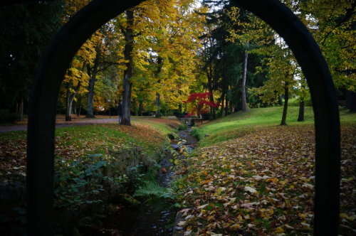 Fall Arch by Shinnea