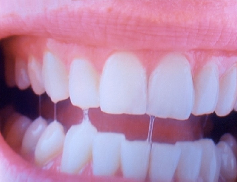 voltra:  Pipilotti Rist, Homo sapiens sapiens, 2005