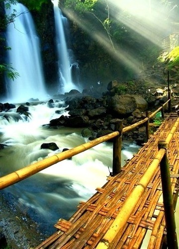 Bamboo Bridge, Japan