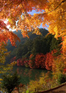 lori-rocks: gateway to autumn  (via All sizes