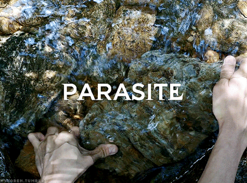 Congratulations PARASITE / (2019) Dir. BONG JOON-HOon 6 Nominations And Winning 4 Academy Awards At The