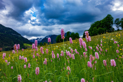 90377: thunderstorm clouds by Bernd Kranabetter