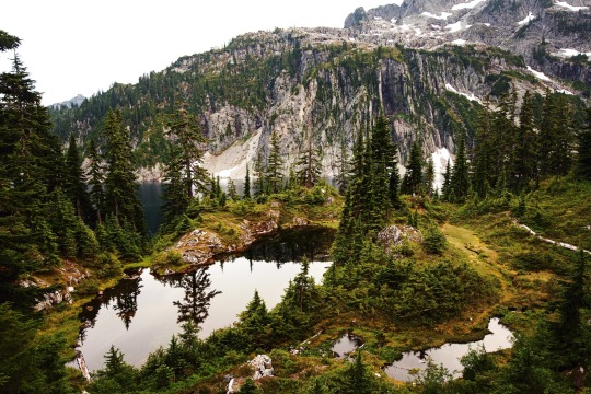 Sex hannahaspen:Alpine Lakes Wilderness, WA© pictures