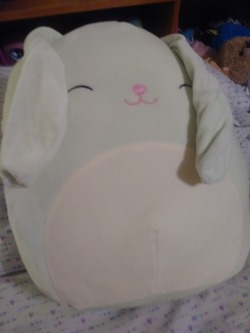fluffy-omorashi:  I saw your cute bunny and wanted one so I got one too!!!  Omg! Isn’t it the softest ever?!?