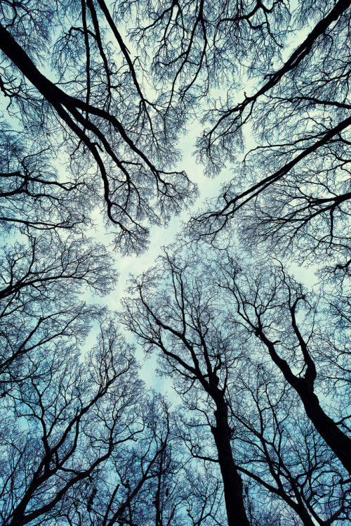 l0stship:  Winter (source) / by Mirai