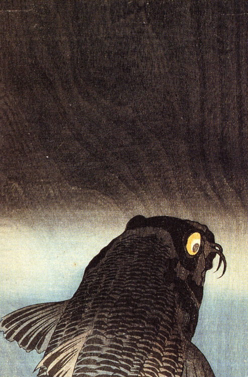 leuc:   Utagawa Kuniyoshi: Black Carp 