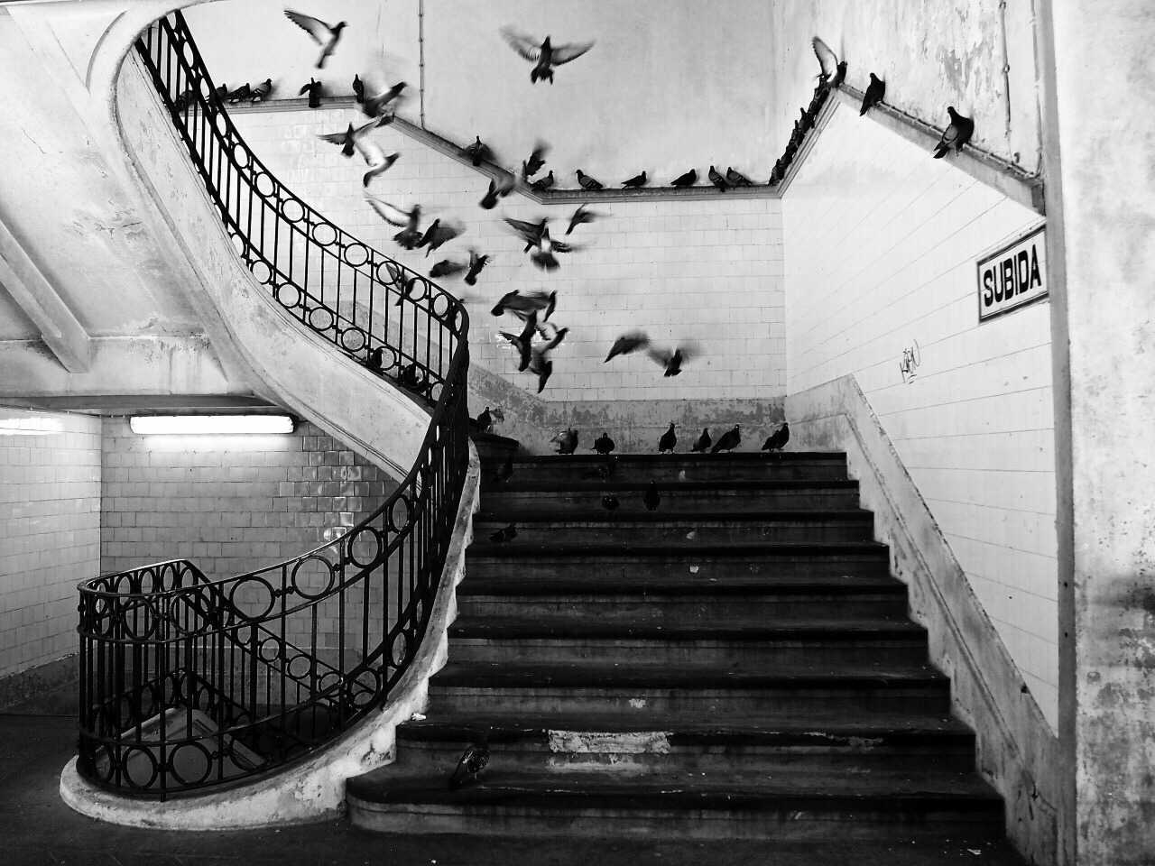 photo-reactive: Mercado do Bolhão, Porto by Henri Cartier-Bresson