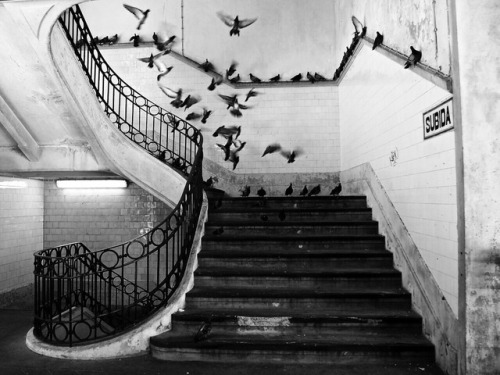 photo-reactive: Mercado do Bolhão, Porto by Henri Cartier-Bresson