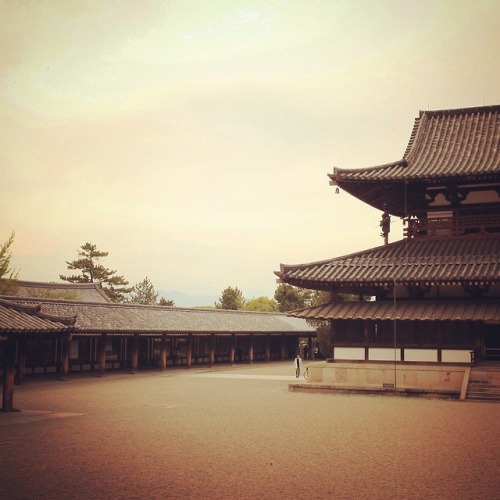 No.894 at Horyuji Temple, Nara, JapanTile roof is a source of order.