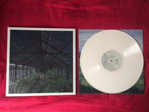rentedworlds: Dealer - Foxing