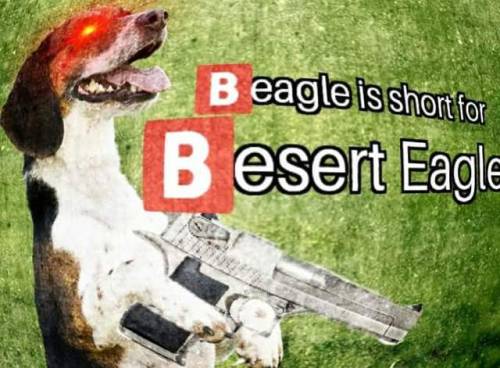 Spej