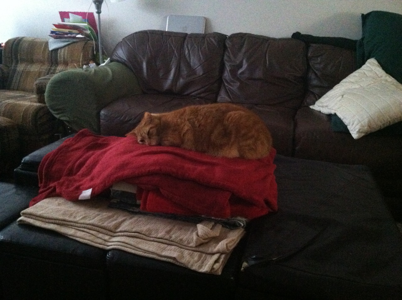 thisbelongsto-nohbodys:that was JUST out of the dryer and folded…..