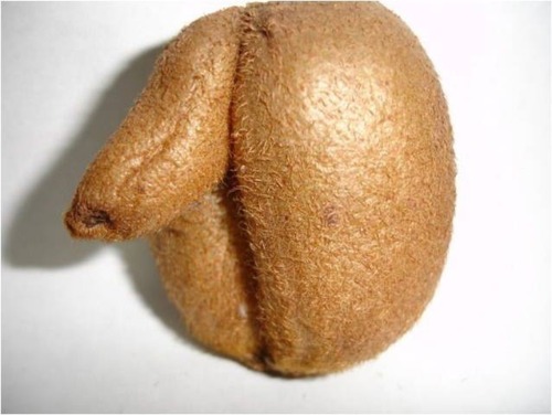 succotashes:  slixxvix:  succotashes:  r0ttenyouth:  didi-is-spiffy:  succotashes:  didi-is-spiffy:  succotashes:  didi-is-spiffy:  succotashes:  Ya man ain’t textin back, but this cantaloupe tryna slang the pipe 😏💦💦 what would you do? 😛😩💦💦💦